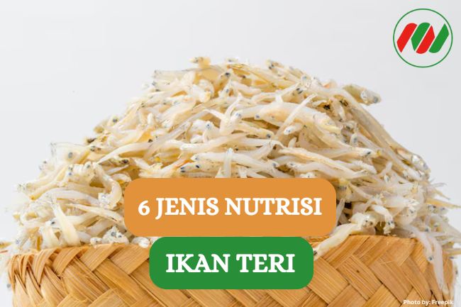 6 Jenis Nutrisi yang Ada dalam Ikan Teri, Yuk Simak!!